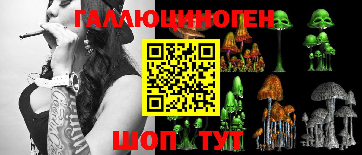Галлюциногенные грибы мухоморы  Вход с VPN  Щёлково  где купить   Псилоцибиновые грибы GOLDEN TEACHER 