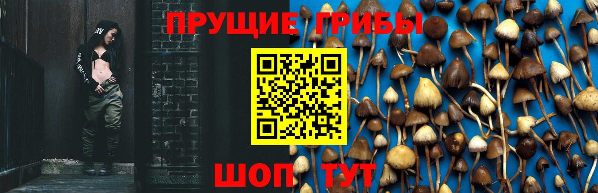 Галлюциногенные грибы Magic Shrooms Щёлково